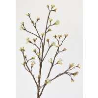 Read HouseFloral Reviews
