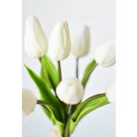 Read HouseFloral Reviews