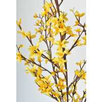Read HouseFloral Reviews