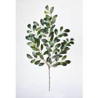 Read HouseFloral Reviews