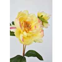 Read HouseFloral Reviews