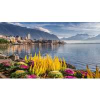 Read Indus Travels Inc. Reviews