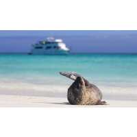 Read Indus Travels Inc. Reviews