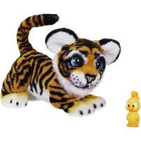 Read ToyDip.com Reviews