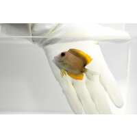 Read TSM Aquatics Reviews