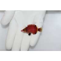 Read TSM Aquatics Reviews