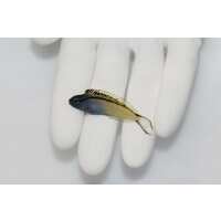 Read TSM Aquatics Reviews