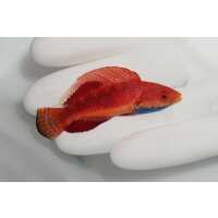 Read TSM Aquatics Reviews