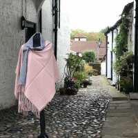 Read JULIA ROSE Reviews
