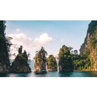 Read art of bicycle trips Reviews