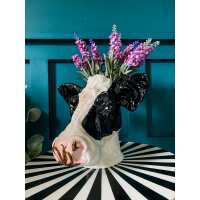 Read Punk & Poodle Reviews