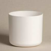 Lesen feey CH Bewertungen