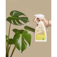 Lesen feey CH Bewertungen