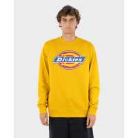 Read Dickies Australia Reviews