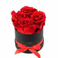 Lesen Infinity Flowerbox GmbH Bewertungen