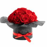 Lesen Infinity Flowerbox GmbH Bewertungen