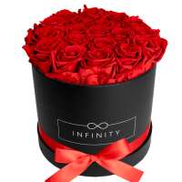 Lesen Infinity Flowerbox GmbH Bewertungen