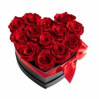 Lesen Infinity Flowerbox GmbH Bewertungen