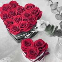 Lesen Infinity Flowerbox GmbH Bewertungen