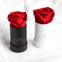 Lesen Infinity Flowerbox GmbH Bewertungen