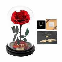 Lesen Infinity Flowerbox GmbH Bewertungen