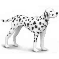 Read MiniZoo Reviews