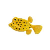Read MiniZoo Reviews
