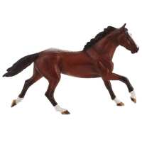 Read MiniZoo Reviews