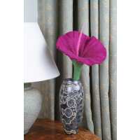 Read Pachamama Ltd Reviews