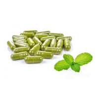 Read Buy Kratom Bulk USA Reviews