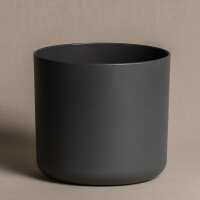 Lesen feey Bewertungen