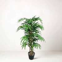 Read Tommorrow.ie Reviews