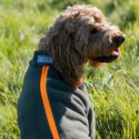 Read Stix and Roam Ltd Reviews