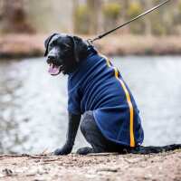 Read Stix and Roam Ltd Reviews