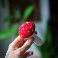 Lesen NoniKids Berlin Bewertungen