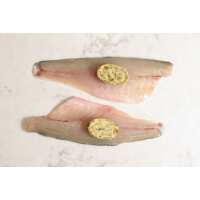 Read Regal Fish Reviews