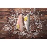 Read Regal Fish Reviews