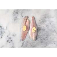 Read Regal Fish Reviews