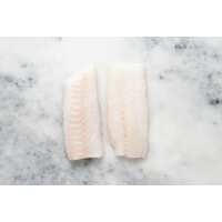 Read Regal Fish Reviews