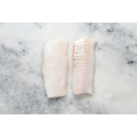 Read Regal Fish Reviews