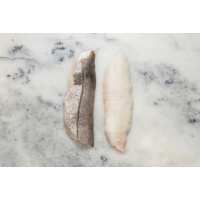 Read Regal Fish Reviews