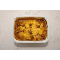 Read Regal Fish Reviews