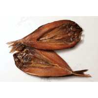 Read Regal Fish Reviews