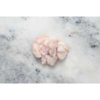 Read Regal Fish Reviews