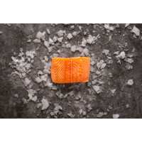 Read Regal Fish Reviews