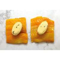 Read Regal Fish Reviews