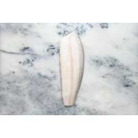Read Regal Fish Reviews