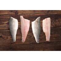 Read Regal Fish Reviews