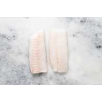 Read Regal Fish Reviews