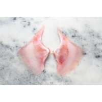 Read Regal Fish Reviews